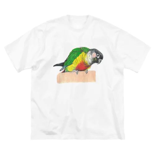 [森図鑑] ウロコインコA 前向き ビッグシルエットTシャツ