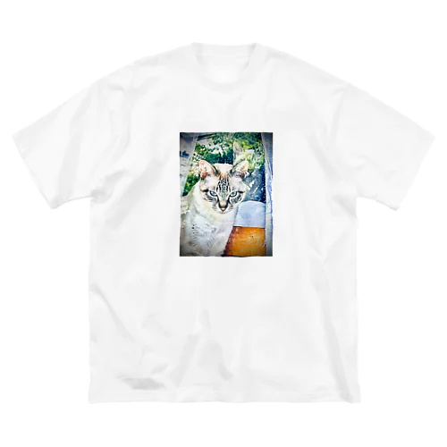 保護猫のカムイ君 Big T-Shirt