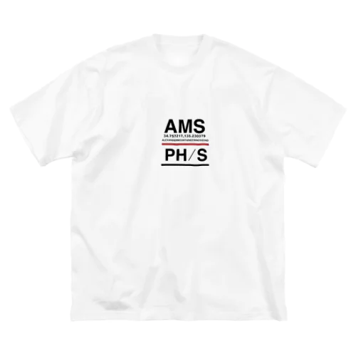 アレキサンダーマウンテンニアリングスクワッド Big T-Shirt