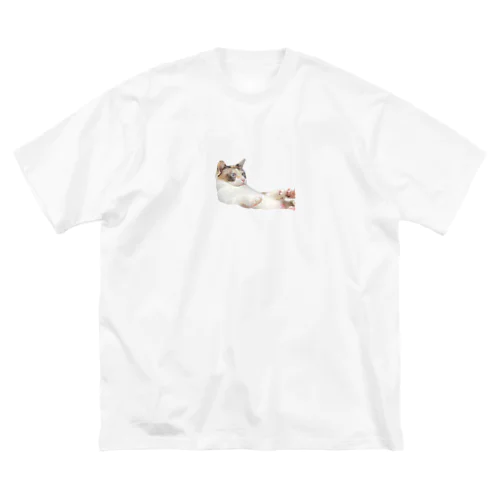 わさびの服 ビッグシルエットTシャツ