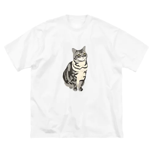 エイプ ビッグシルエットTシャツ