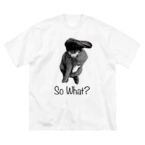 So What? Big T-Shirt