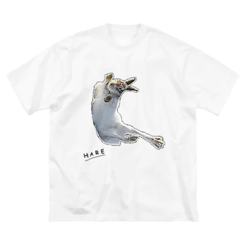 HARE ビッグシルエットTシャツ