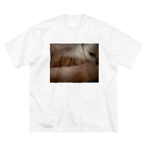 猫のめぢから ビッグシルエットTシャツ