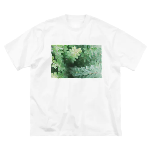 花壇の植物 ビッグシルエットTシャツ