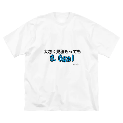 不思議な言葉「大きく見積もっても6.6gal」 ビッグシルエットTシャツ