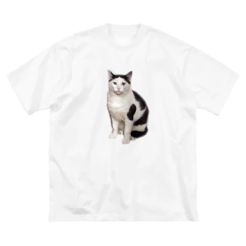 ヅラにゃんこ Big T-Shirt