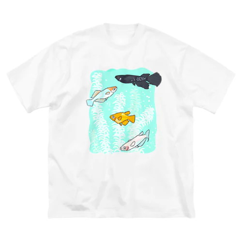 メダカ　B01 Big T-Shirt