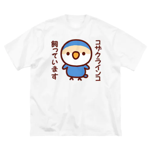 コザクラインコ飼っています（バイオレットチェリー） ビッグシルエットTシャツ