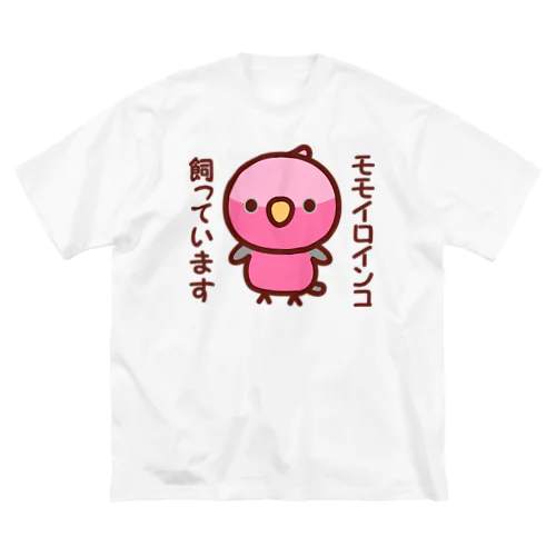 モモイロインコ飼っています Big T-Shirt