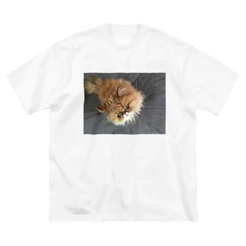 ぶちゃ猫・茶々丸 Big T-Shirt