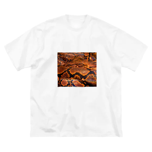 Real colorful snake skin Nr. 8,  本物 の カラフルな ヘビ 皮 No. 8,  8番 ビッグシルエットTシャツ