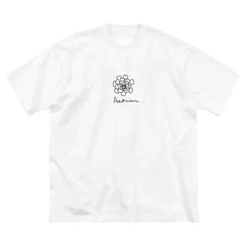 アエオニウムモノトーン ビッグシルエットTシャツ