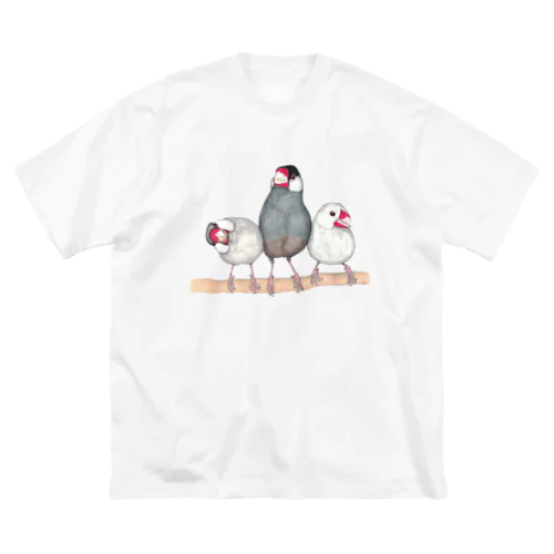 [森図鑑] 三羽文鳥 ビッグシルエットTシャツ