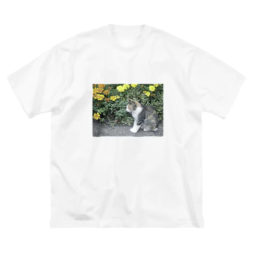 hometown cat ビッグシルエットTシャツ