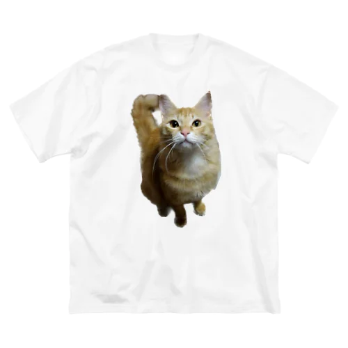 我が家のお猫様が見てます(笑) Big T-Shirt