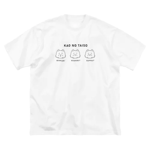 KAOnoTAISO ビッグシルエットTシャツ