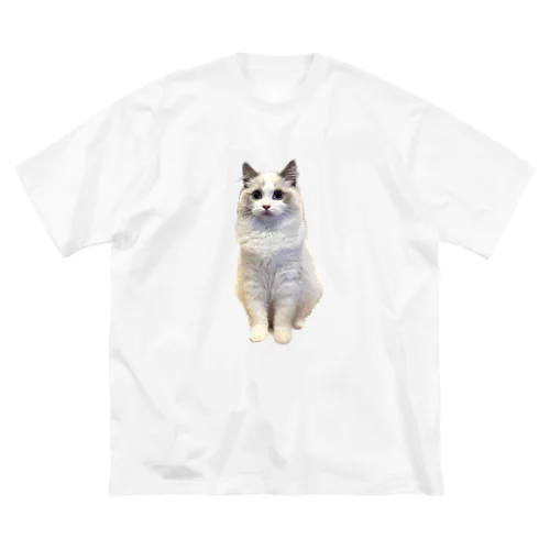 SOPO ビッグシルエットTシャツ