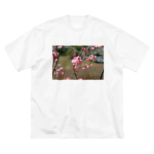 梅の花 - The pile of petals - ビッグシルエットTシャツ