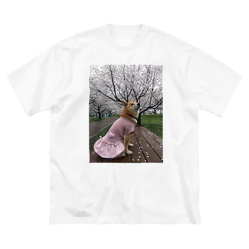 柴犬　桜シリーズ　満開の桜001 ビッグシルエットTシャツ