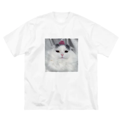 猫用帽子をかぶったおまめ ビッグシルエットTシャツ