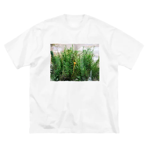 キノコと苔テラリウム Big T-Shirt