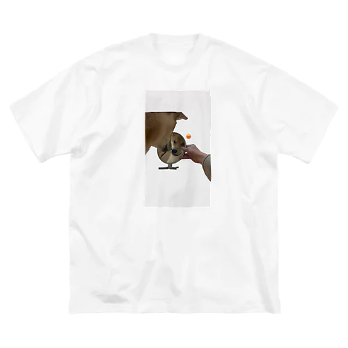 鏡にキレてる柴犬 ビッグシルエットTシャツ