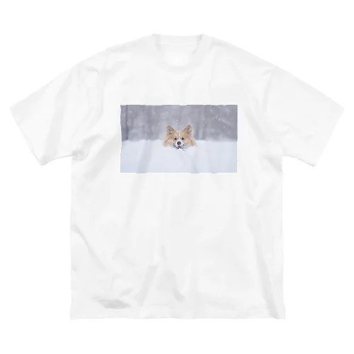 コーギー犬もこすけグッズ ビッグシルエットTシャツ