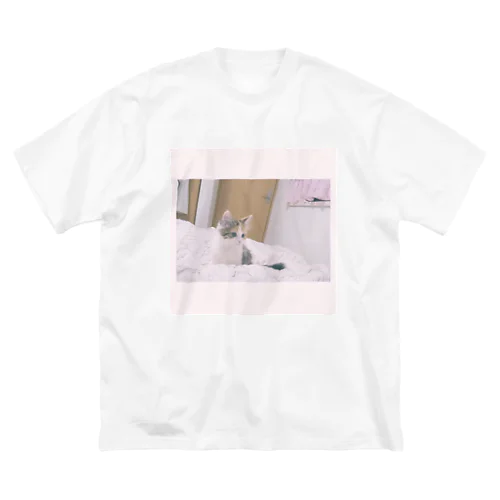 子猫なみこ ビッグシルエットTシャツ