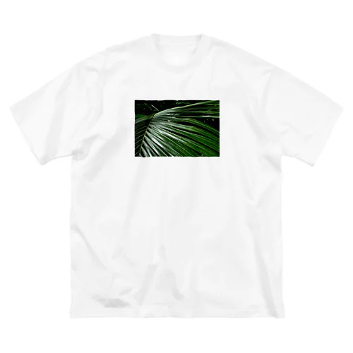 Berlin Botanischer Garten 1 ビッグシルエットTシャツ