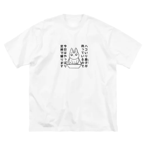 ハコ入りにゃんこ Big T-Shirt