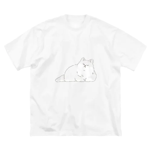 お昼寝中のもふ猫 ビッグシルエットTシャツ