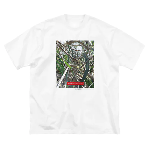 世界にたった一本のユーカリの木 HIROSHIMA EUCALYPTUS STUDIES ビッグシルエットTシャツ