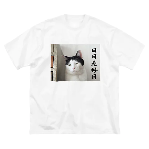 パンチョ日日是好日 Big T-Shirt