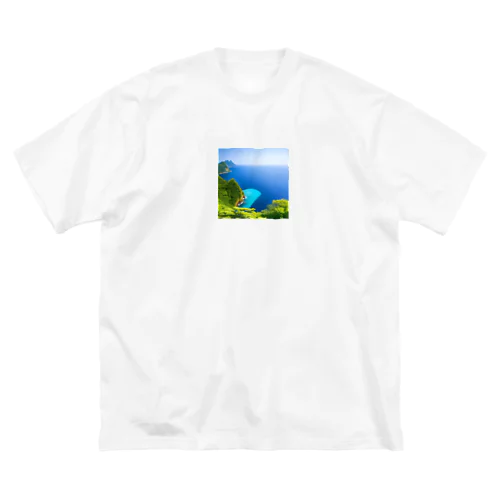 海外画 Big T-Shirt