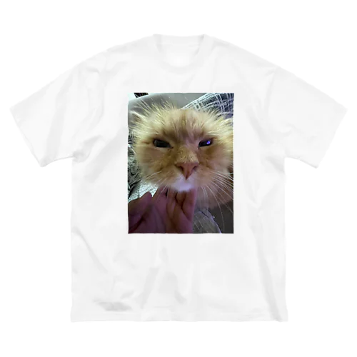可愛い猫 Big T-Shirt