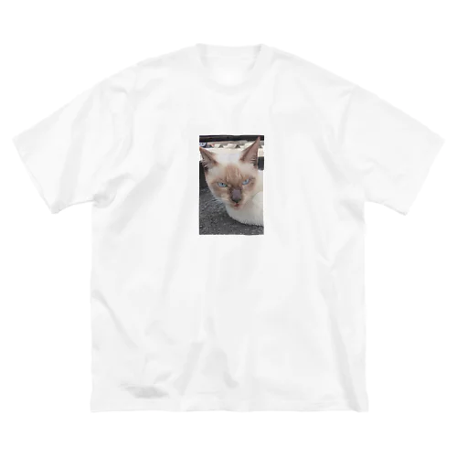 悪そうなのにカワイイ猫ちゃん Big T-Shirt