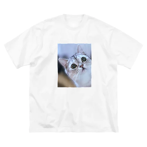 猫の名前はレオ ビッグシルエットTシャツ