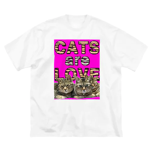 CATS are LOVE Big T-Shirt