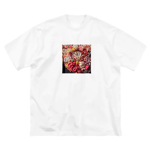 華やかなエケベリア ビッグシルエットTシャツ