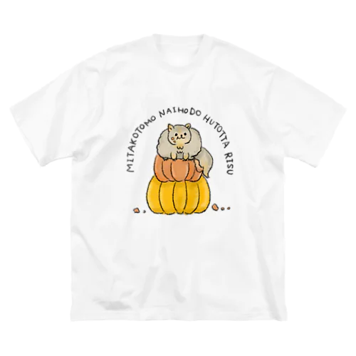 見たこともないほど太ったリス Big T-Shirt