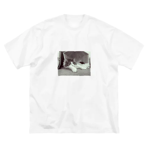 Cat ビッグシルエットTシャツ