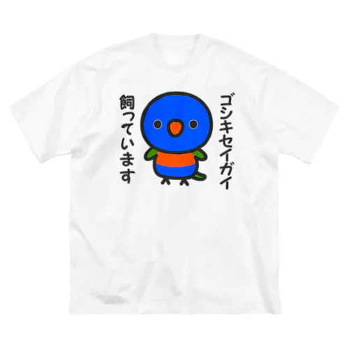 ゴシキセイガイ飼っています ビッグシルエットTシャツ