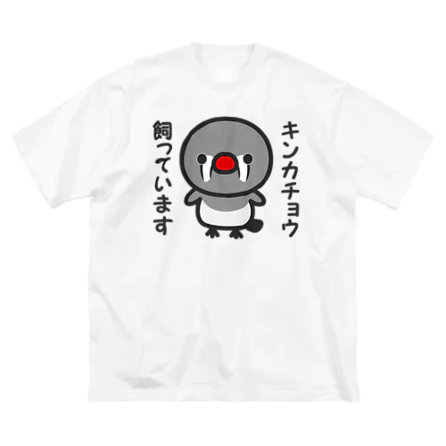 キンカチョウ飼っています（メス） Big T-Shirt