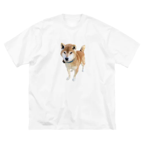 ツリ目犬 루즈핏 티셔츠