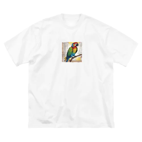 オウムやインコなどの一部の鳥は人間の言葉を覚え、まねることができます ビッグシルエットTシャツ