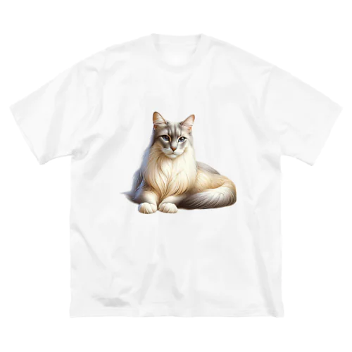 穏やかなる白金の静寂 Big T-Shirt