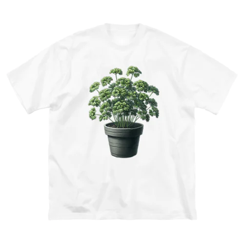 鉢植えのパセリ_240127 ビッグシルエットTシャツ