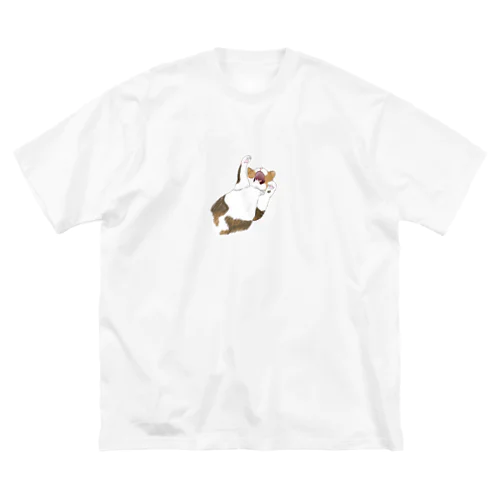 すこやかむぎちゃん ビッグシルエットTシャツ