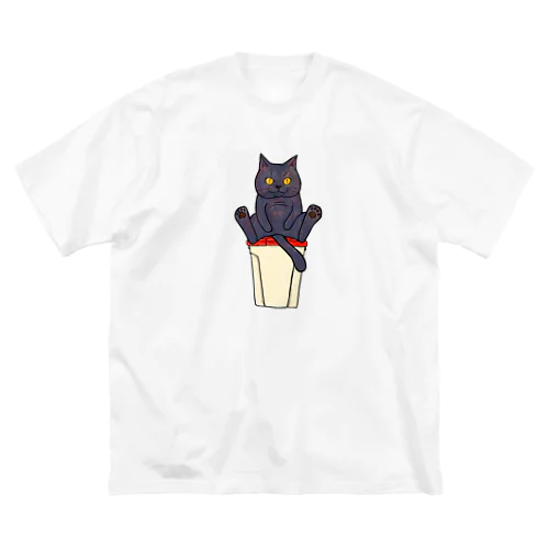 ゴミ捨て場のカラス対策 Big T-Shirt